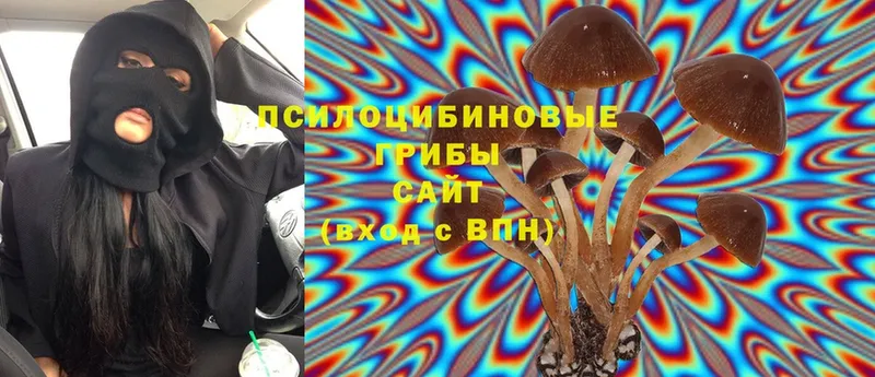 как найти закладки  Чишмы  Псилоцибиновые грибы MAGIC MUSHROOMS 